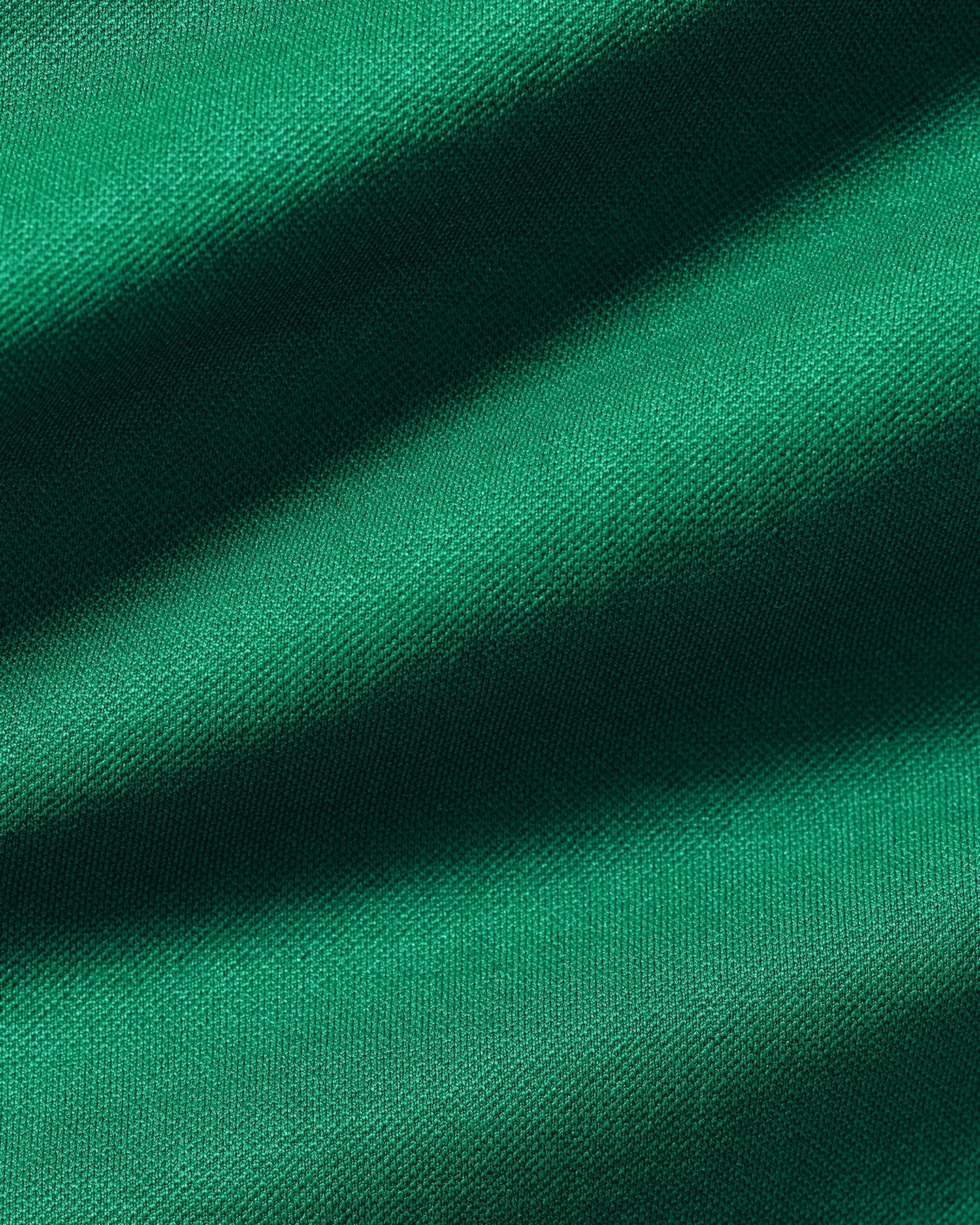 Power Seamless Scrunch Shorts | Amazonia Green